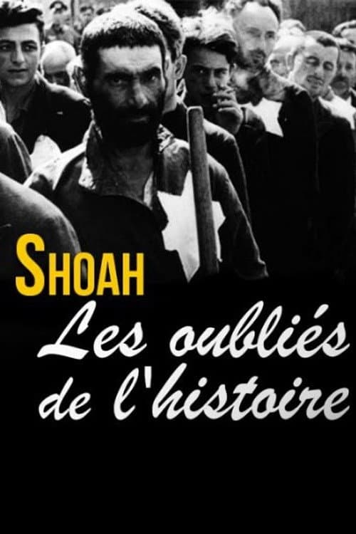 Shoah, les oubliés de l'histoire afişi