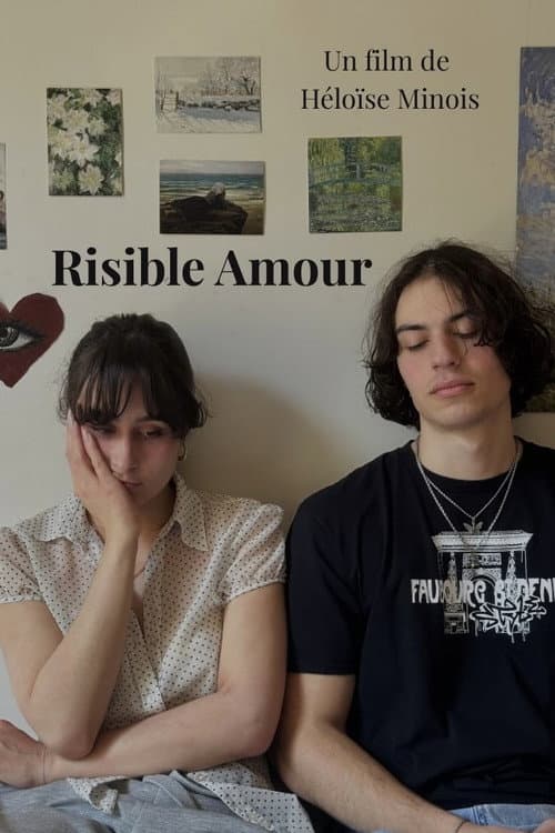 Risible amour afişi