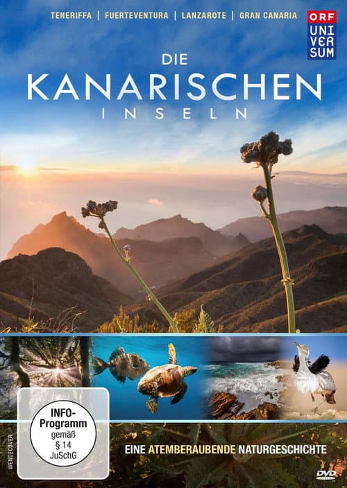 Die Kanarischen Inseln afişi