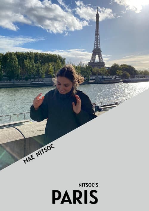 PARIS afişi