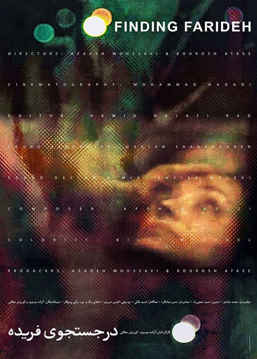 Finding Farideh afişi