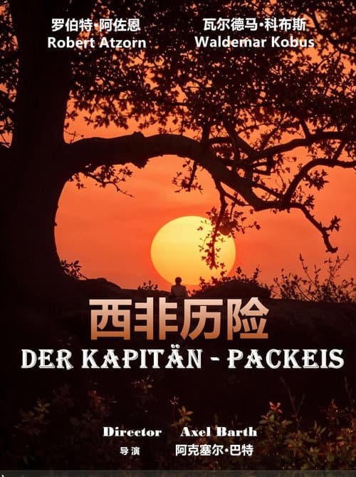Der Kapitän - Packeis afişi
