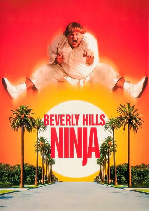 Beverly Hills Ninja afişi