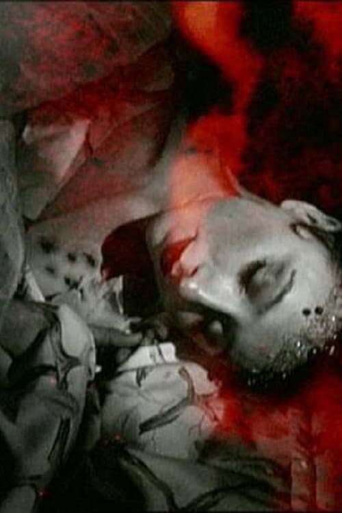 Shadows Choose Their Horrors afişi