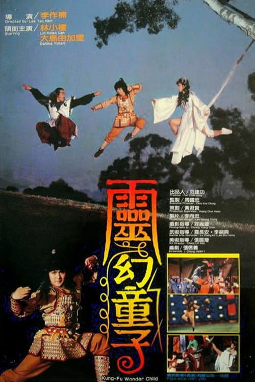 Kung Fu Wonder Child afişi