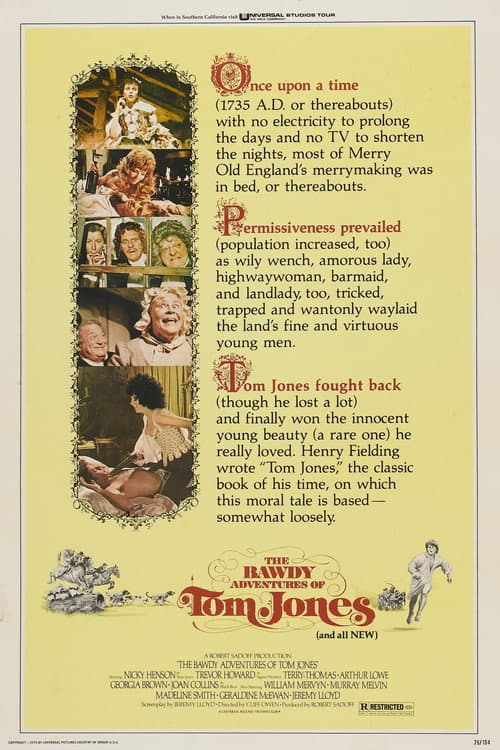 The Bawdy Adventures of Tom Jones afişi