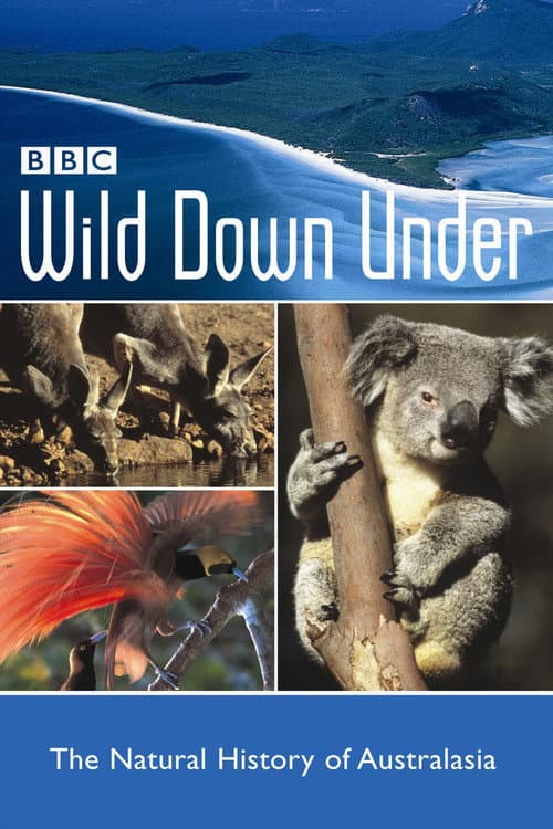 Wild Down Under afişi