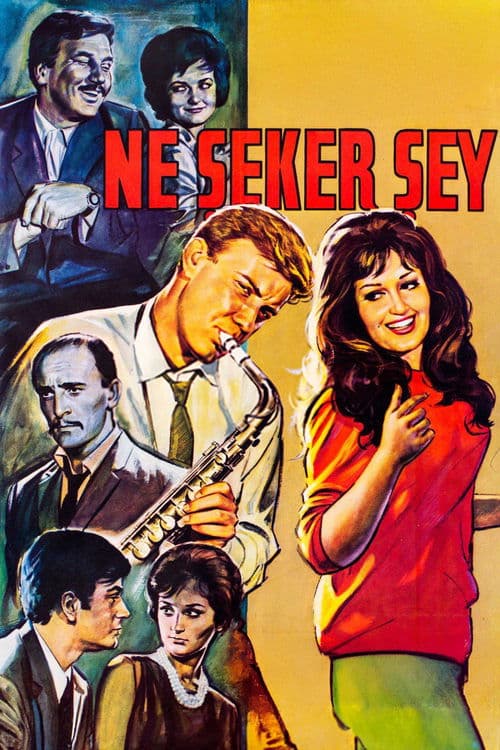 Ne Şeker Şey afişi