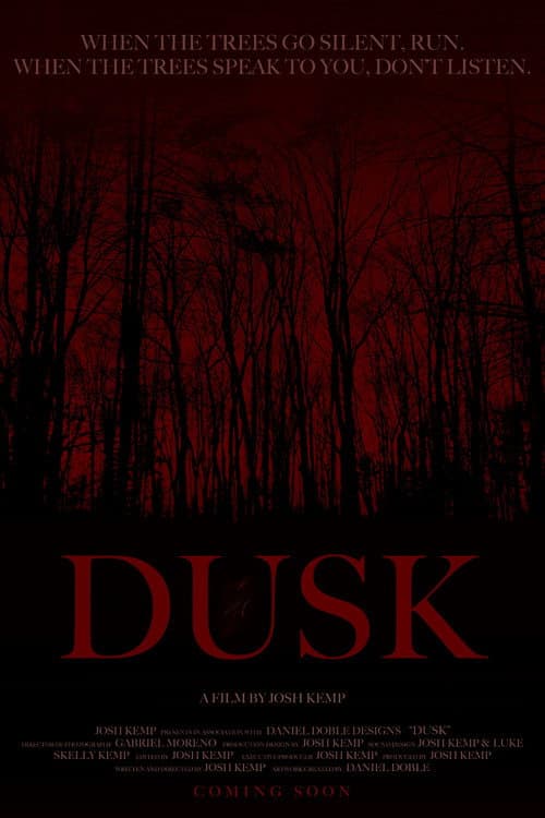 Dusk afişi