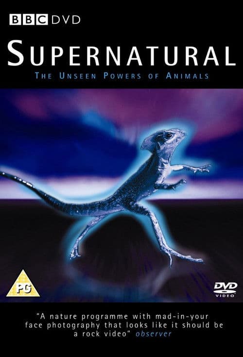 Supernatural: Unseen Power of Animals afişi