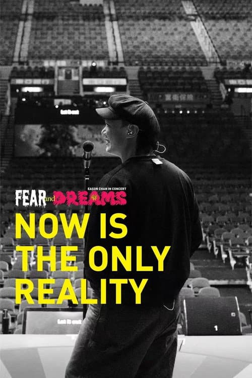 FEAR and DREAMS: NOW is the only reality afişi