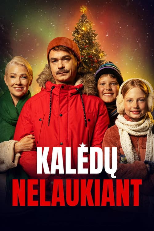 Kalėdų nelaukiant afişi