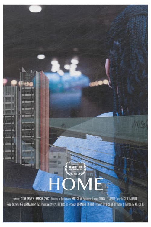 Home afişi