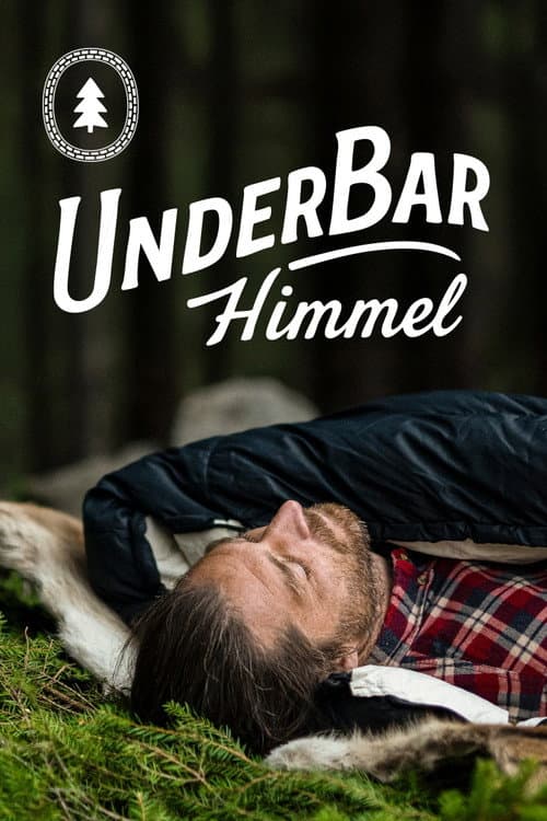 Under bar himmel afişi