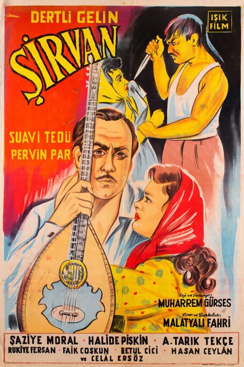 Dertli Gelin Şirvan afişi
