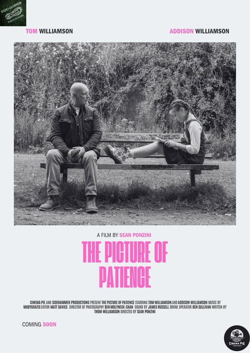 The Picture of Patience afişi