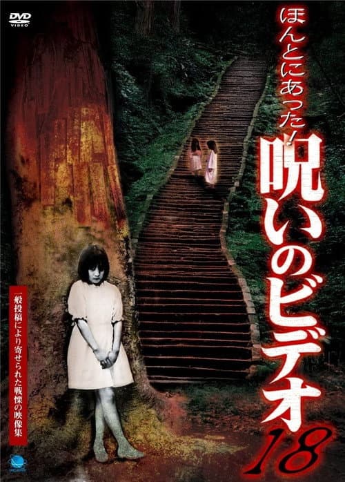 ほんとにあった！呪いのビデオ18 afişi
