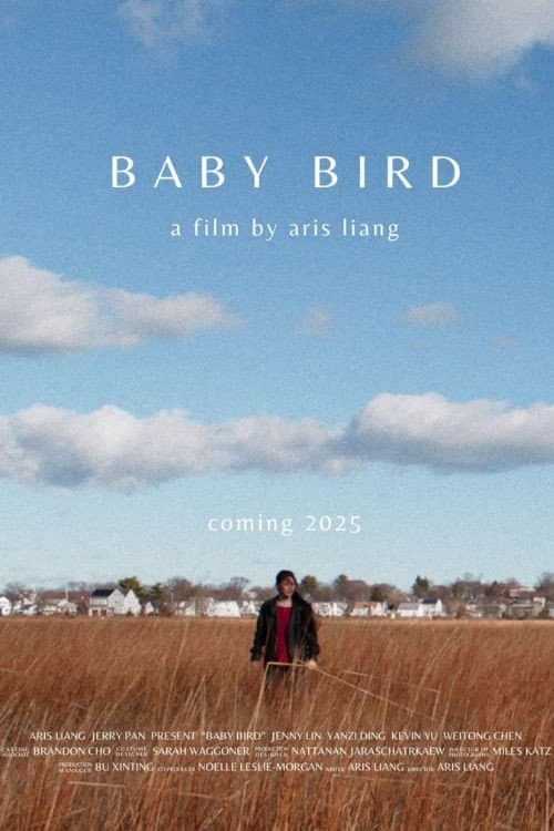 Baby Bird afişi
