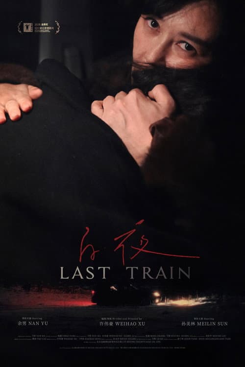Last Train afişi