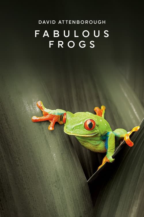 Fabulous Frogs afişi