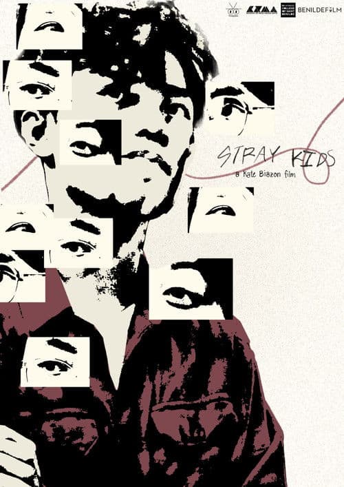 Stray Kids afişi