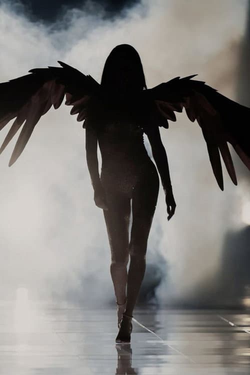 The Victoria's Secret Fashion Show 2015 afişi
