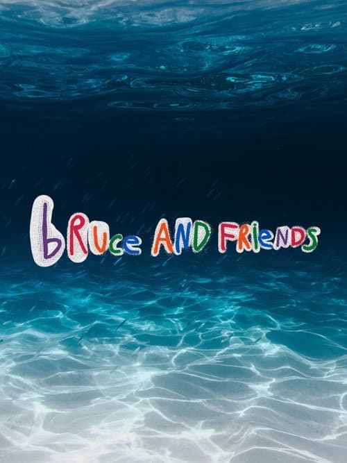 Bruce And Friends afişi