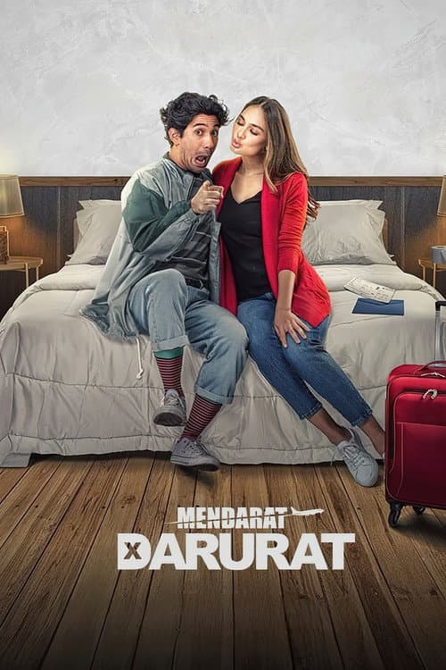 Mendarat Darurat afişi