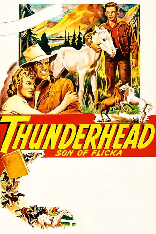 Thunderhead: Son of Flicka afişi