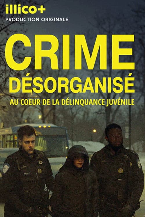 Crime désorganisé: au cœur de la délinquance juvénile afişi