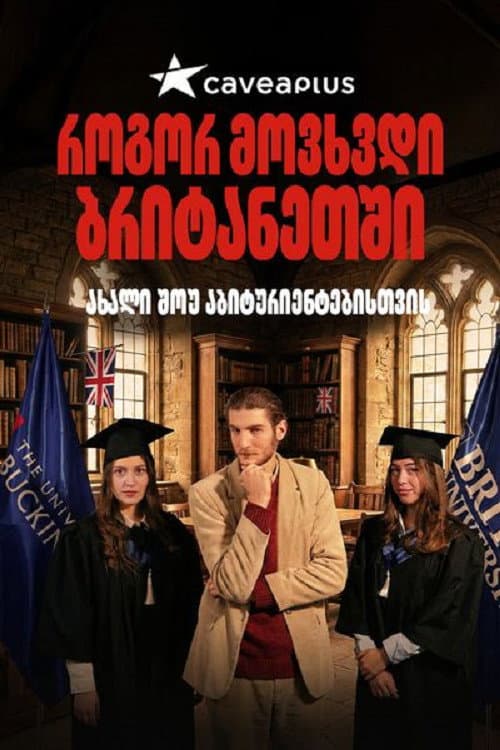 How I Ended Up in the UK afişi
