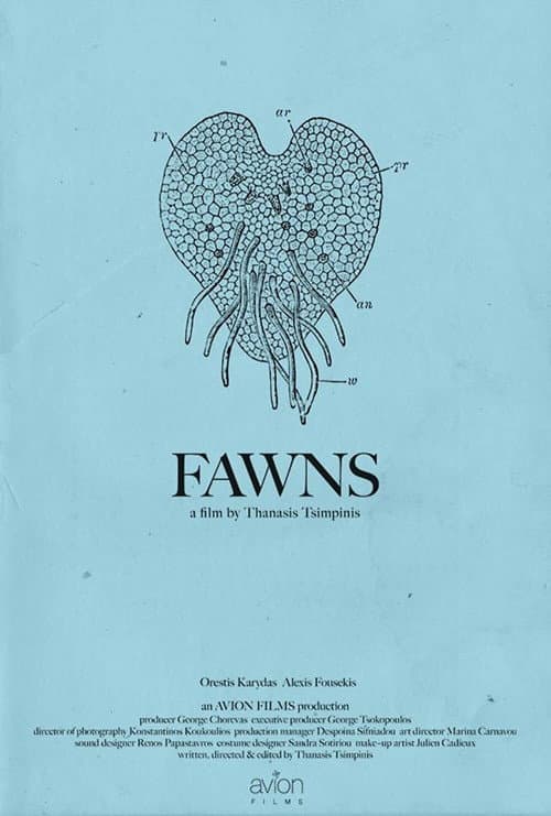 Fawns afişi