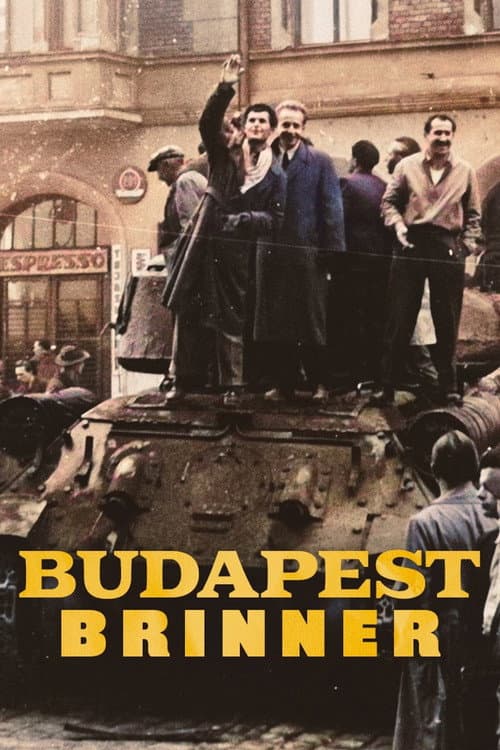 Budapest brinner afişi