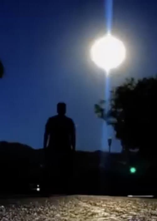 THE GIST OF IT* afişi