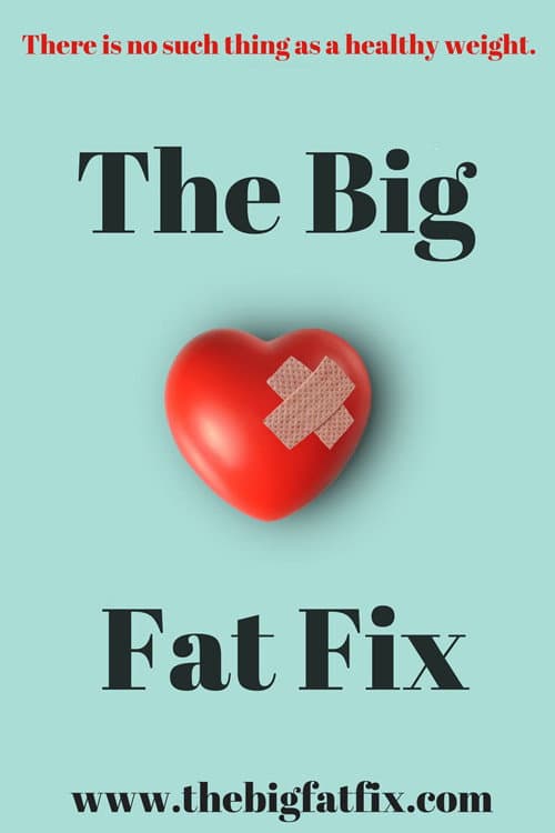 The Big Fat Fix afişi
