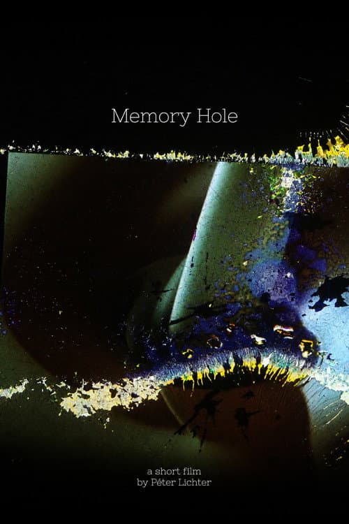 Memory Hole afişi