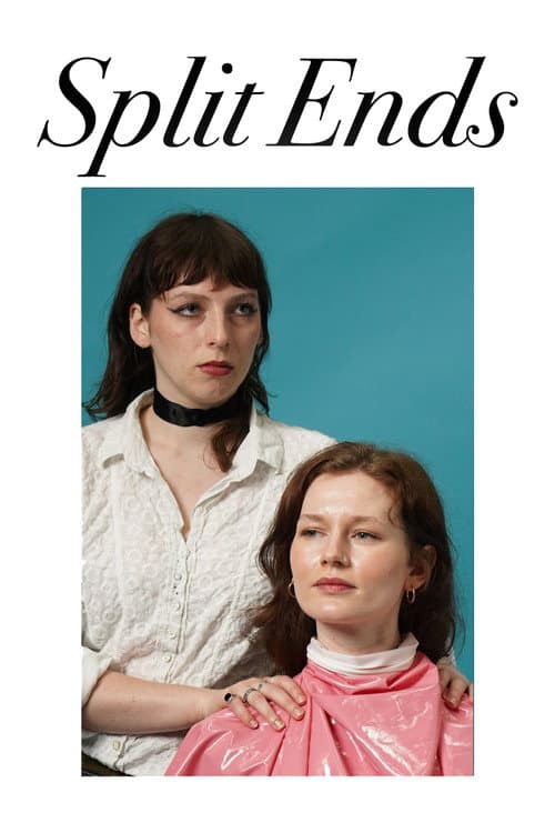 Split Ends afişi