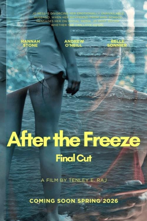 After The Freeze afişi