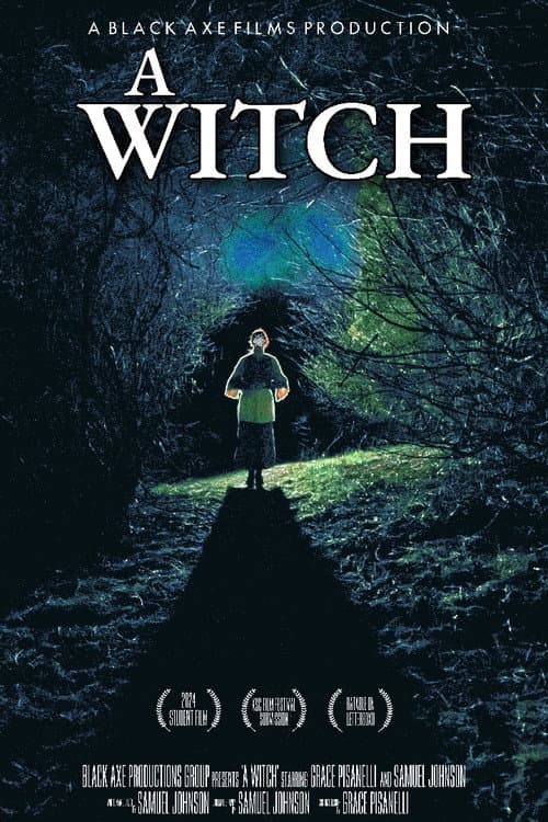 A Witch afişi