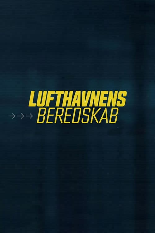 Havaalanı Güvenlik: Danimarka afişi