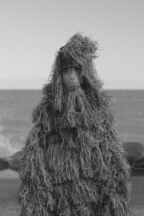 Monsters afişi