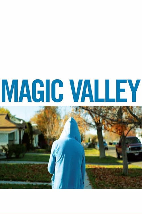 Magic Valley afişi