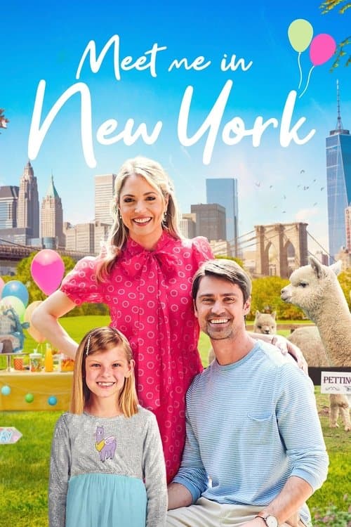 Meet Me in New York afişi