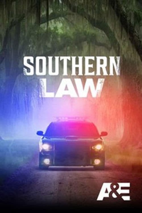 Southern Law afişi
