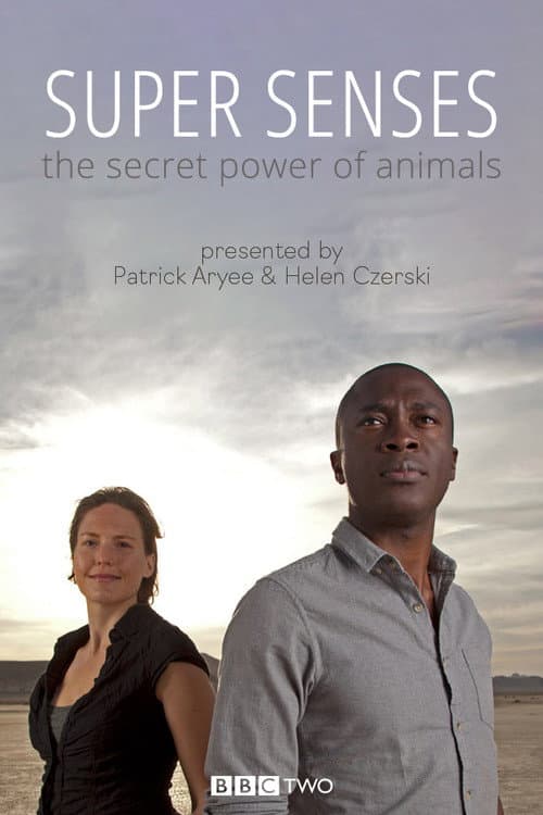 Super Senses: The Secret Power of Animals afişi