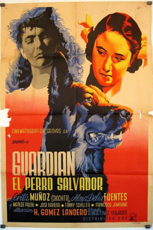 Guardián, el perro salvador afişi