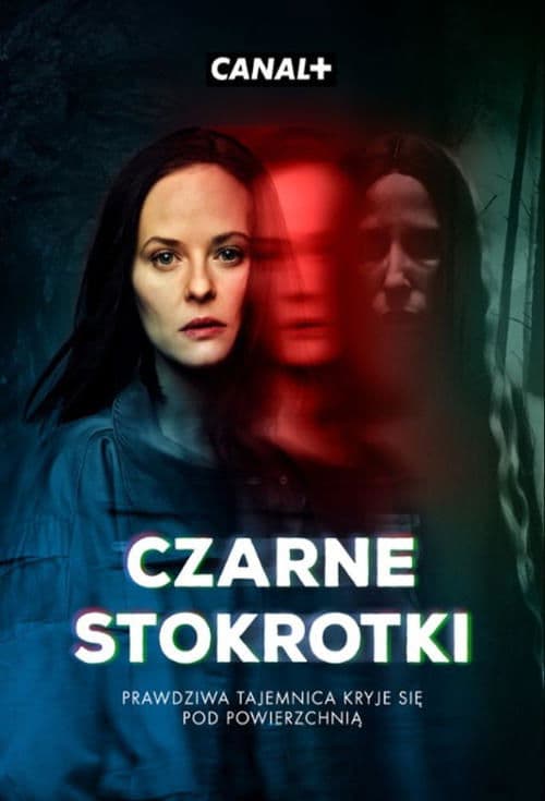 Czarne Stokrotki afişi