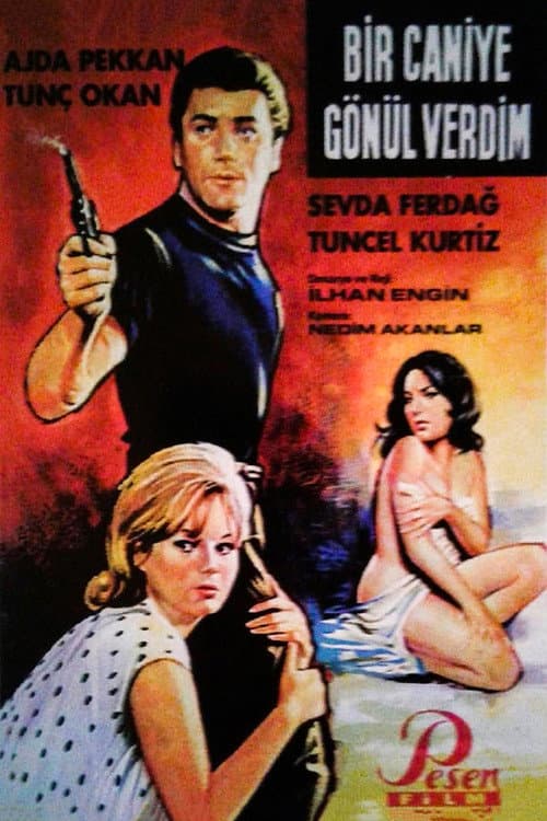 Bir Caniye Gönül Verdim afişi