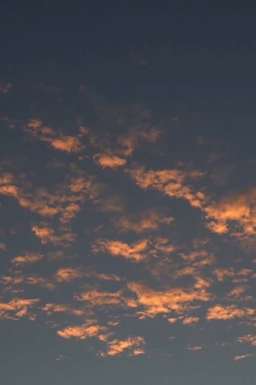 vejo você nos galhos dessa noite afişi