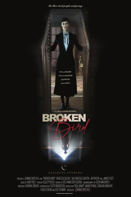 Broken Bird afişi